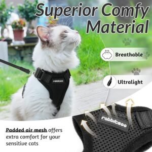 rabbitgoo Cat Harness and Leash for Walking