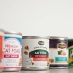 the Best Wet Cat Food Brands